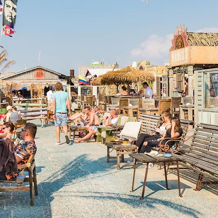 Pension Sixtysix Zandvoort Dış mekan fotoğraf
